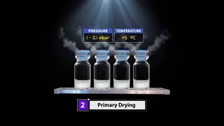 Product Lyophilization Process [upl. by Catha]