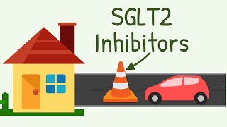 SGLT2 Inhibitors Mechanism of Action [upl. by Winzler]