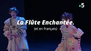 La Flûte Enchantée Mozart  M Scoffoni P Feracci H Niquet [upl. by Aivin184]