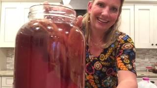 How to Make Kombucha using herbal tea [upl. by Nodlew]