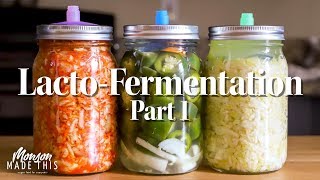 Easy LactoFermentation Part 1  Sauerkraut Kimchi Dill Pickles Jalapeno Hot Sauce [upl. by Kcuhc145]