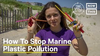 How Do We Fight Marine Plastic Pollution  One Small Step [upl. by Tayyebeb322]