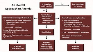 Anemia Lesson 5  An Approach to Diagnosis [upl. by Easter]