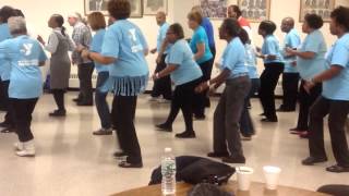 quotRoll it Roll itquot WEY Line dancers [upl. by Asum]