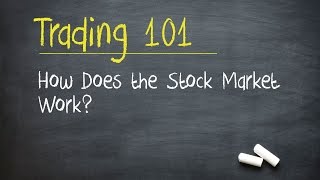 Trading 101 How Does the Stock Market Work [upl. by Peters428]