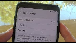 Samsung Galaxy S9 How to Enable  Disable Voice Assistant [upl. by Brenton]