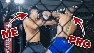 I Trained To Become An MMA Fighter In 4 Months [upl. by Akirrehs]