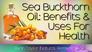 Sea Buckthorn Benefits and Uses [upl. by Horwath]