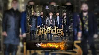 Los Inquietos Del Norte  Enamorados Audio Oficial [upl. by Neidhardt]