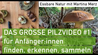 Großes Pilzvideo 1 für Anfängerinnen Essbare giftige und andere Pilze im September [upl. by Nolitta286]