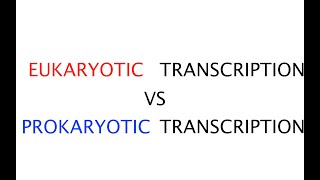 Eukaryotic transcription vs Prokaryotic transcription 41 [upl. by Ihculo]