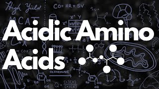 Acidic Amino Acids Aspartate amp Glutamate  MCAT [upl. by Bannister]