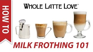 Milk Frothing for Beginners [upl. by Onilegna]