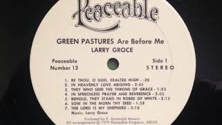 Larry Groces 1979 album quotGreen Pasturesquot LP in its entirety [upl. by Lapointe]