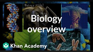 Biology overview [upl. by Shelbi]