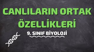 9Sınıf Biyoloji  Canlıların Ortak Özellikleri [upl. by Rehpotsihrc766]