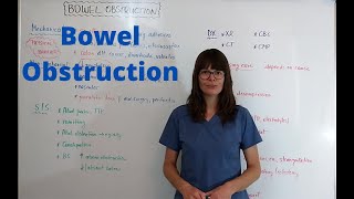 Bowel Obstruction [upl. by Noeruat]