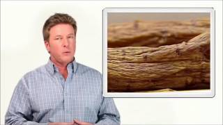 Korean Red Ginseng Benefits What Does Ginseng Do for Men [upl. by Caril]