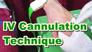 How to Insert IV Cannula  IV Cannulation Technique  Branula  Intravenous Catheter [upl. by Harlene215]