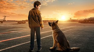 A Dog Named Palma Full Movie Hindi Dubbed Facts [upl. by Naut36]