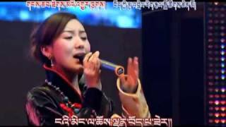 New Tibetan Song Tibetan soul  spirit Tsewang Lhamo [upl. by Hacceber338]