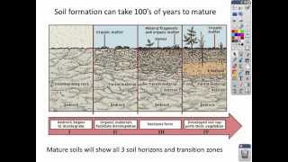 Intro to Soil lecture [upl. by Aile]