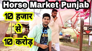 10 Crore ka Ghoda at Punjab Horse market  Marwari horses and Nukhre Horses  ENGINEER SINGH [upl. by Tenaej294]