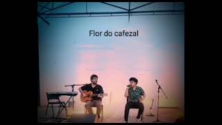 Flor do cafezal [upl. by Saul]