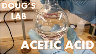 Concentrated Acetic Acid [upl. by Ingamar]