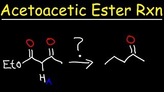 Acetoacetic Ester Synthesis Reaction Mechanism [upl. by Aihselef]