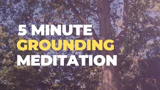 5 min GROUNDING and CENTERING guided meditation [upl. by Barnebas]