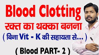 Blood Clotting  Blood Coagulation in Hindi [upl. by Tsugua]