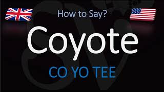 How to Pronounce Coyote  English American Pronunciation [upl. by Goldner]