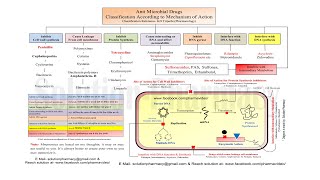 Antibiotics Classification According to Mechanism of Action  Antibiotics  Antibiotics Classes [upl. by Torry888]