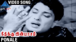 Ponale Video Song  Neethikku Pin Paasam Tamil Movie  MGR  Saroja Devi  MR Radha [upl. by Enyluqcaj865]