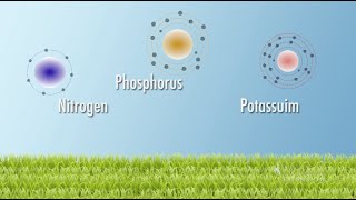 Soil Nutrients  From the Ground Up [upl. by Nywroc]