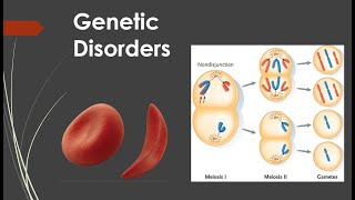 Genetic Disorders [upl. by Fabi]