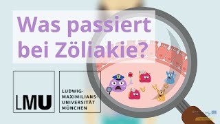 Erklärvideo Zöliakie  Wie entsteht Zöliakie [upl. by Hedy205]