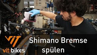 Shimano Bremse entlüften Teil 1  Spülen  vitbikesTV 193 [upl. by Haliak480]