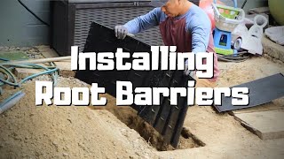 Installing Root Barriers to Protect House Foundations and Sidewalks [upl. by Aynek]