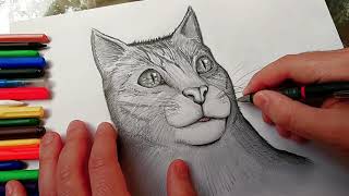 Comment dessiner un chat réaliste facile à reproduire [upl. by Josee]