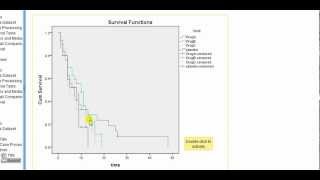 SPSS for medics KaplanMeier survival curve analysis [upl. by Philipps]