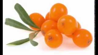 Sea Buckthorn Berry Health Benefits [upl. by Matti]