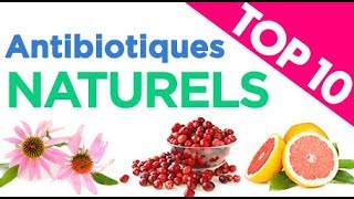 Top 10 des Antibiotiques Naturels [upl. by Zoila66]