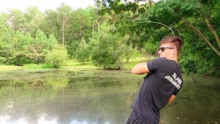 How To Fish Small Ponds  Bass Fishing Tips [upl. by Ellenohs]