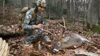 MOUNTAIN BUCK DOWN  Public Land Deer Hunting in Pennsylvania [upl. by Eellac126]