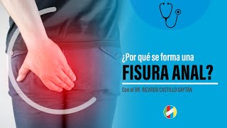 ¿POR QUÉ SE FORMA UNA FISURA ANAL [upl. by Garrett99]