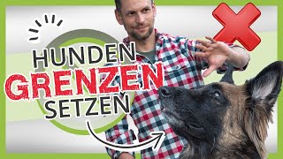 So versteht dein Hund dich wirklich Hunden GRENZEN setzen [upl. by Trey]