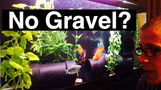 No Gravel Aquarium Fish Tanks It Does Work [upl. by Gnof758]