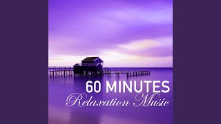 60 Minutes of Relaxation Music  1 Hour Song to Fall Asleep Fast Wellness Sleep Track [upl. by Fillian521]